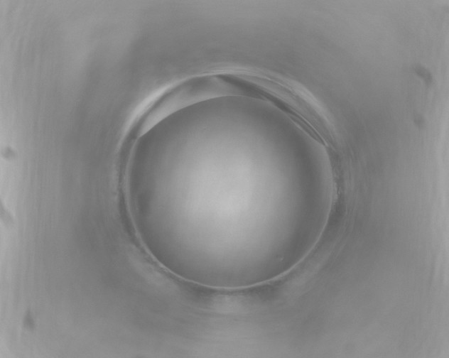 X0000090951364200708091321
