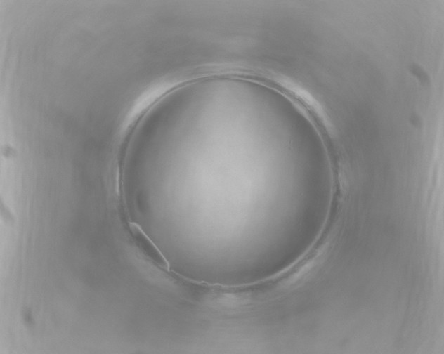 X0000090951365200708091321