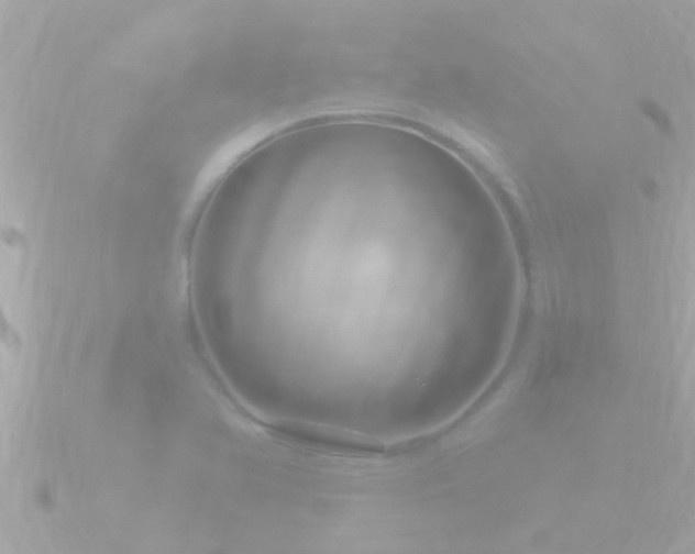 X0000090951366200708091321