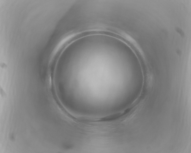 X0000090951368200708091321