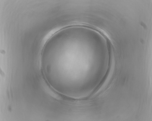 X0000090951371200708091321