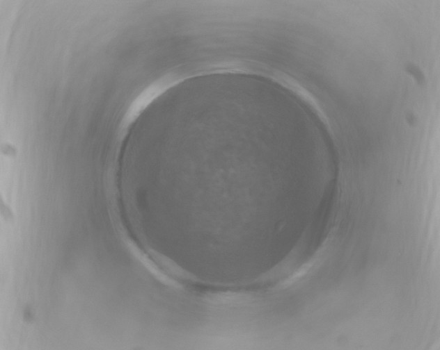 X0000090951373200708091321