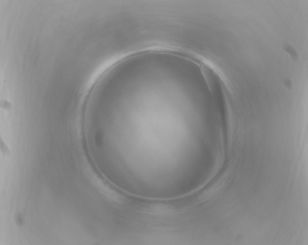 X0000090951375200708091321