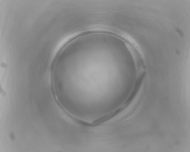 X0000090951376200708091320
