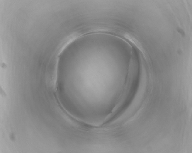 X0000090951377200708091320