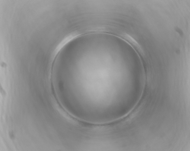 X0000090951378200708091320