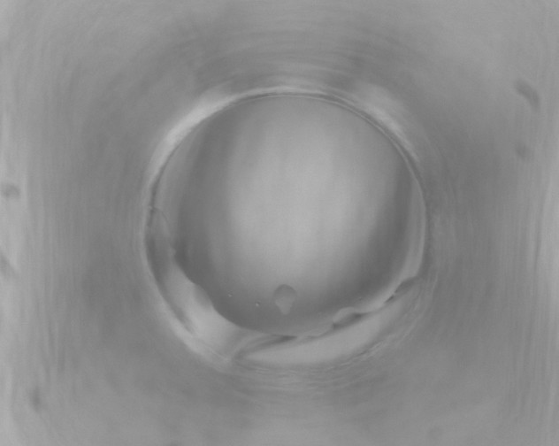X0000090951379200708091320