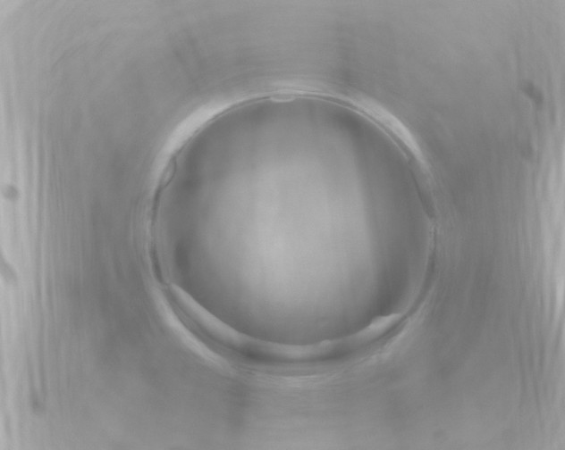 X0000090951381200708091320