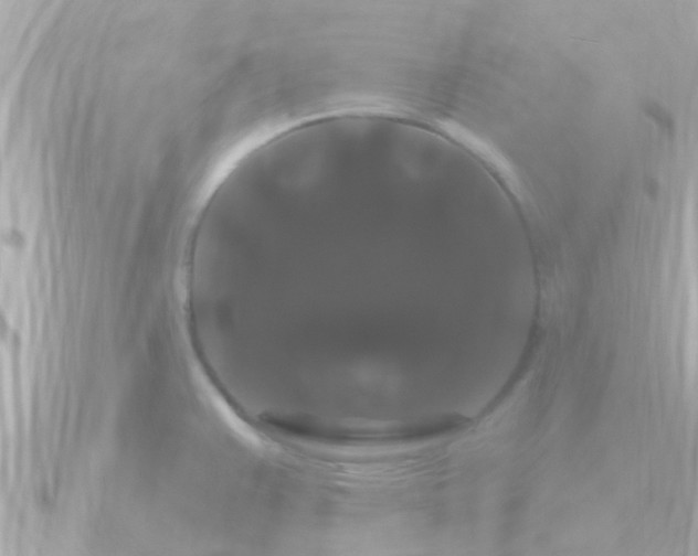 X0000090951383200708091320