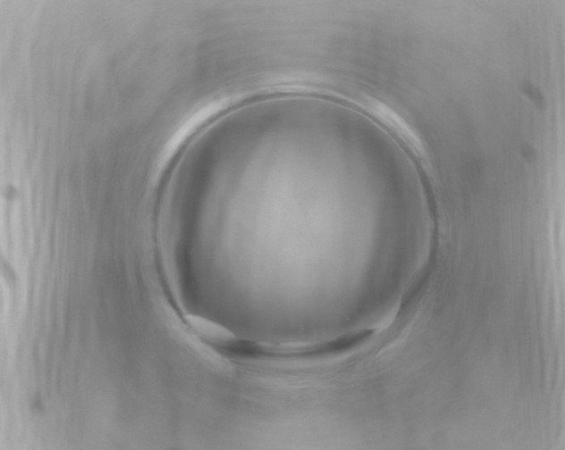 X0000090951384200708091320