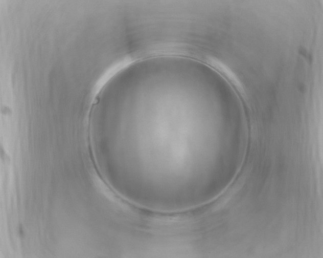 X0000090951386200708091320