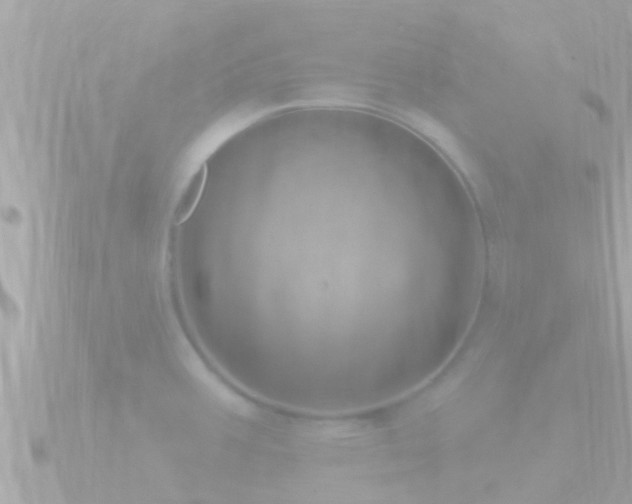 X0000090951387200708091320