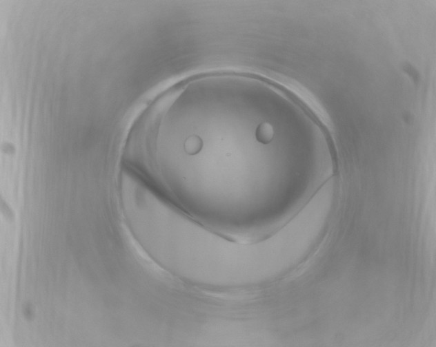 X0000090951388200708091320