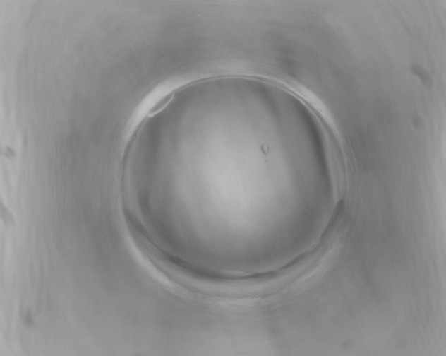 X0000090951389200708091320