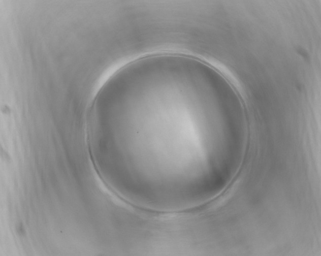 X0000090951390200708091320