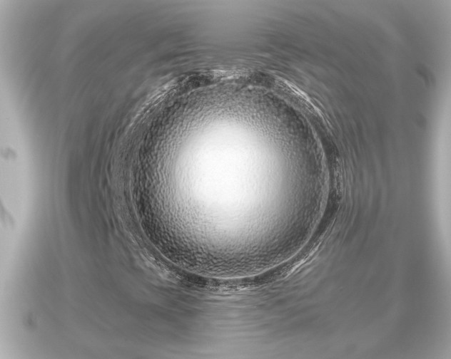X0000090951393200708091320
