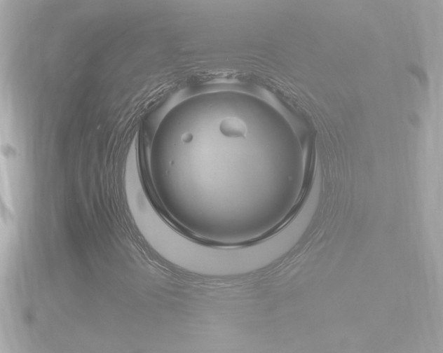 X0000090951394200708091320