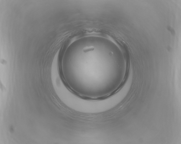 X0000090951396200708091320