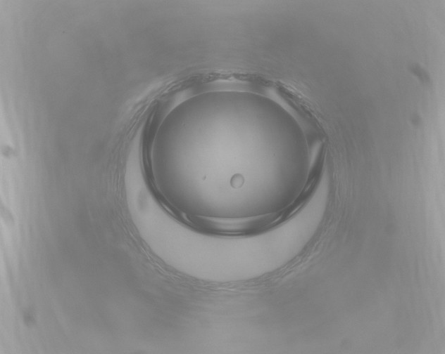 X0000090951398200708091320