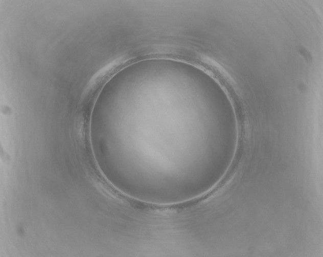 X0000090951403200708091320