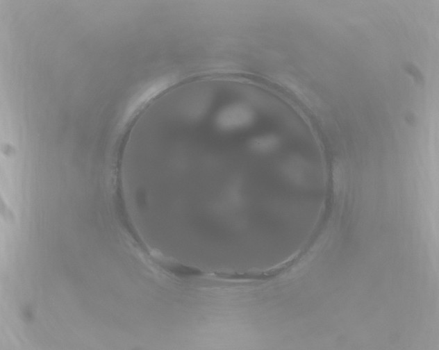 X0000090951405200708091320