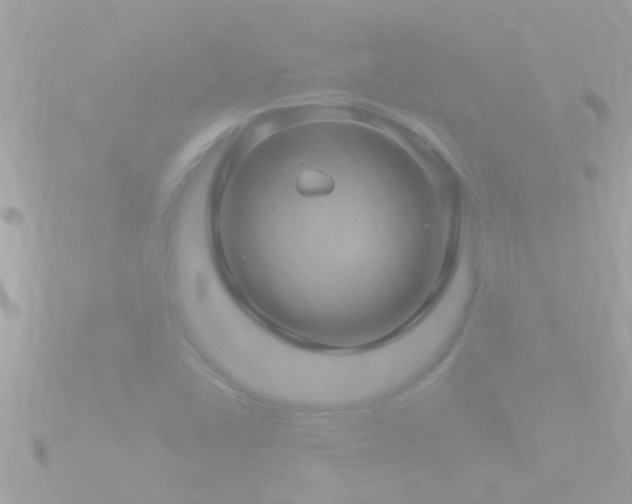 X0000090951406200708091320