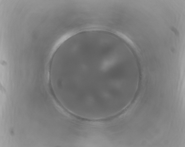 X0000090951413200708091320