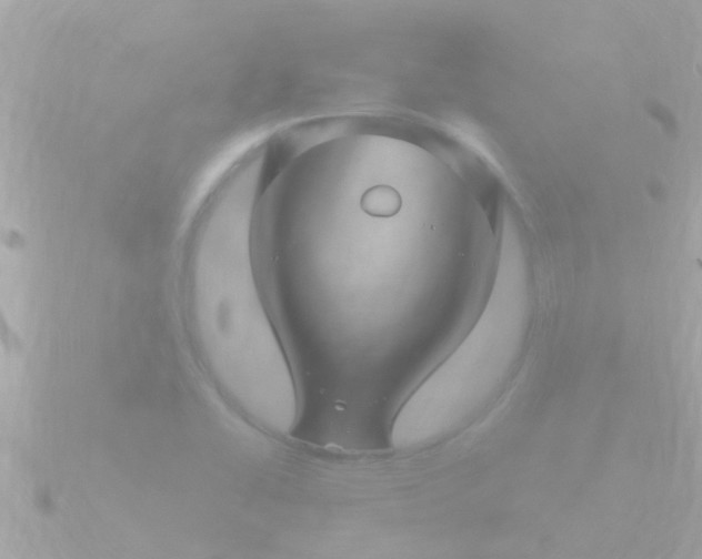 X0000090951414200708091320
