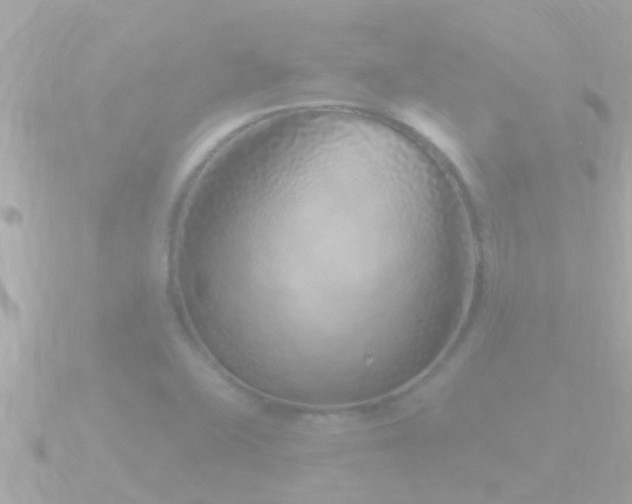 X0000090951415200708091320