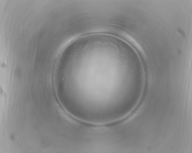 X0000090951417200708091320