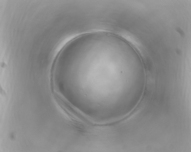 X0000090951423200708091320