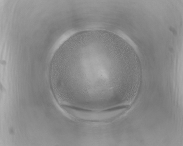 X0000090951429200708091320