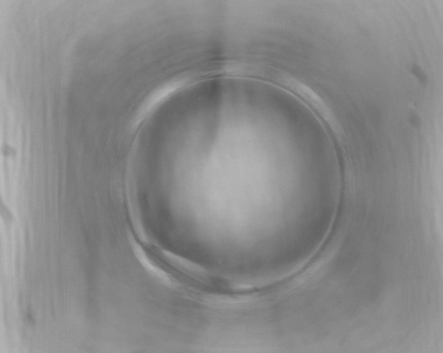 X0000090951433200708091320