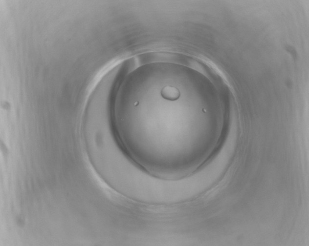 X0000090951434200708091320