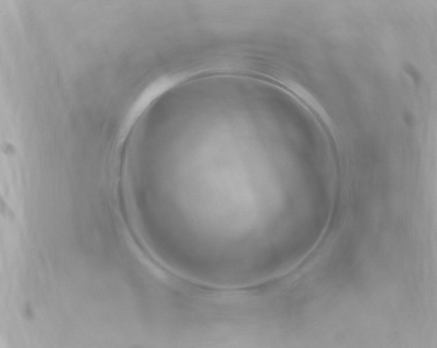 X0000090951437200708091320