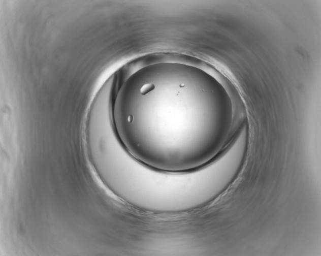 X0000090951440200708091320