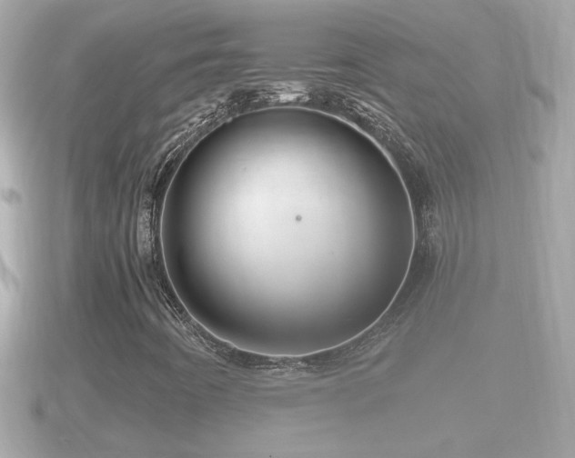 X0000090951442200708091320