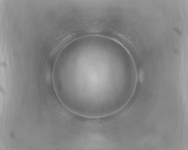 X0000090951444200708091320