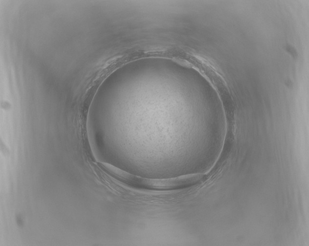 X0000090951445200708091320