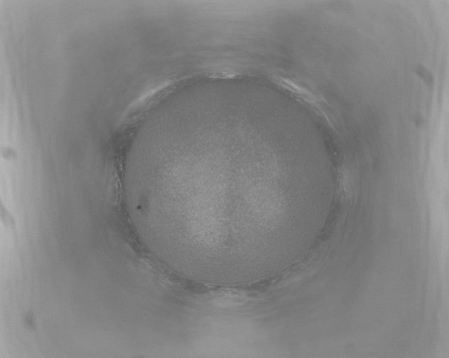 X0000090951446200708091320