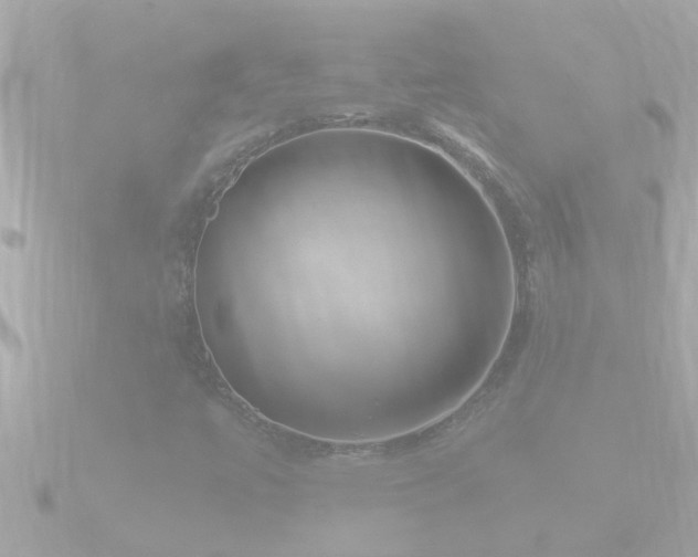 X0000090951447200708091320