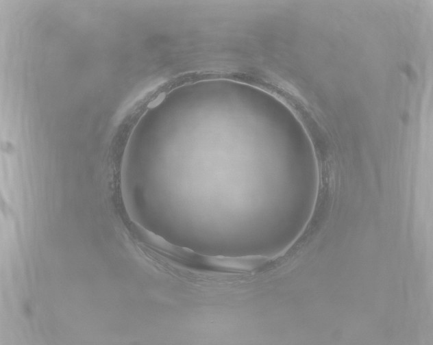 X0000090951448200708091320