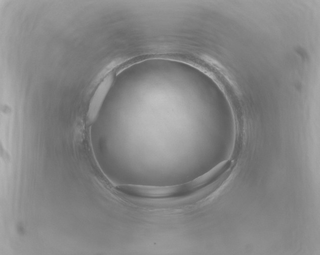 X0000090951449200708091320