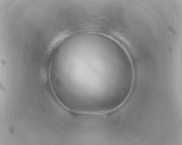 X0000090951451200708091320
