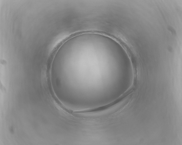 X0000090951452200708091320
