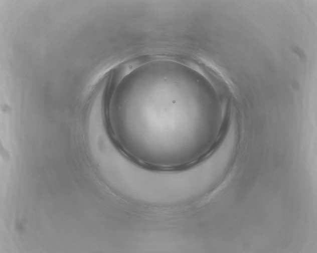 X0000090951453200708091320