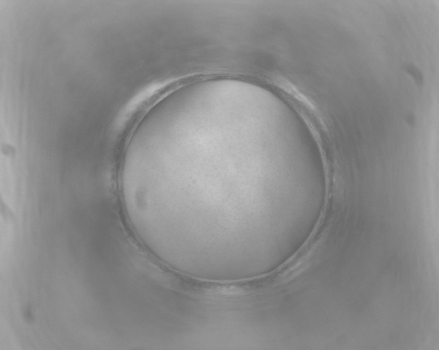 X0000090951454200708091320