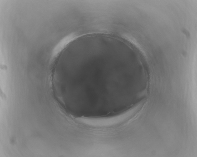 X0000090951455200708091320