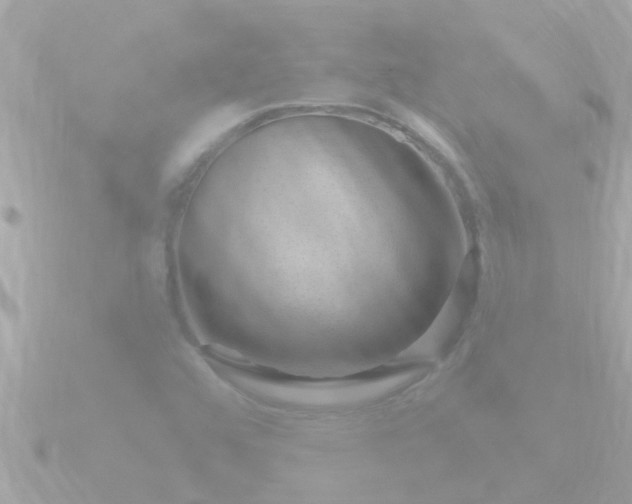 X0000090951456200708091320