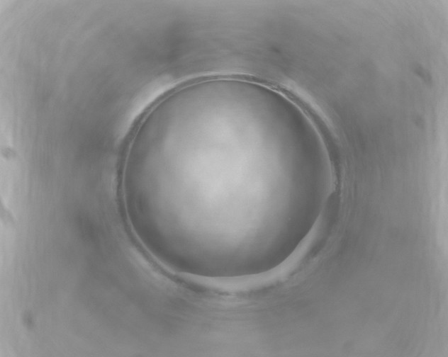 X0000090951460200708091320